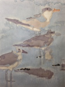 Martha Wolfe Sea Birds